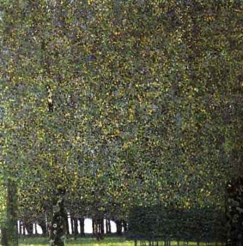 park the 1910 - new york the museum of mordern art.jpg